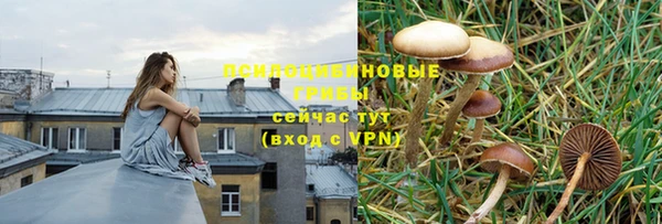 марихуана Коряжма